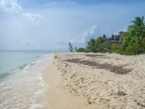 Beach in Cozumel
